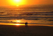 executive drug rehab, executive rehab, drug rehab, professional rehab, executive treatment center, alcoholism professionals, executive rehabilitation center, executive addiction treatment, executive rehabilitation